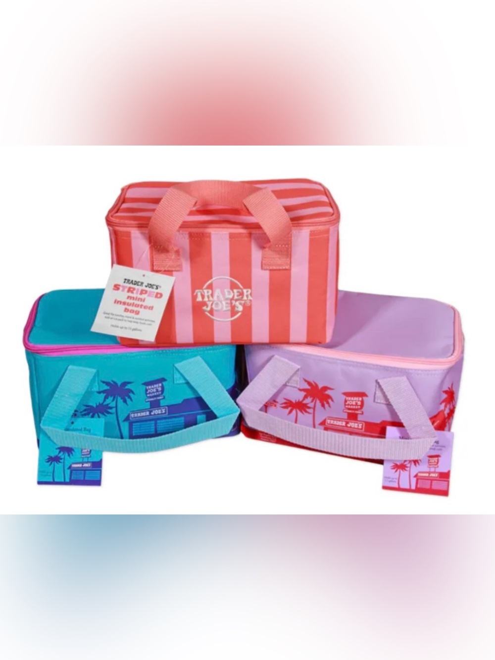 Trader Joe’s Insulated bag bundle